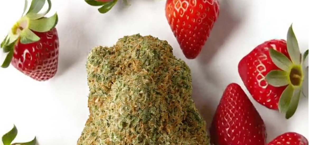 Hemp Hash